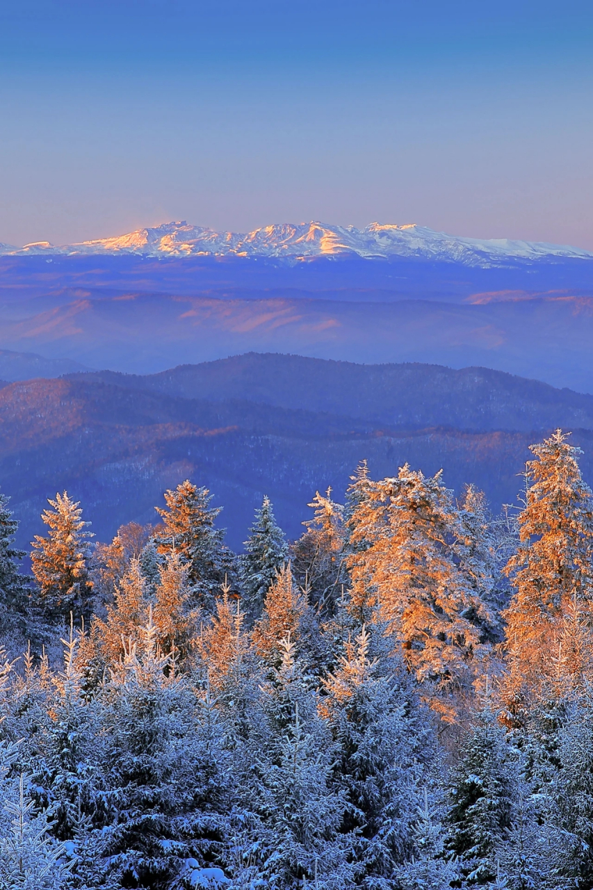 摄影/蓝七星,图/图虫·创意#新时代六地辽宁杠杠滴# #振兴新突破辽宁