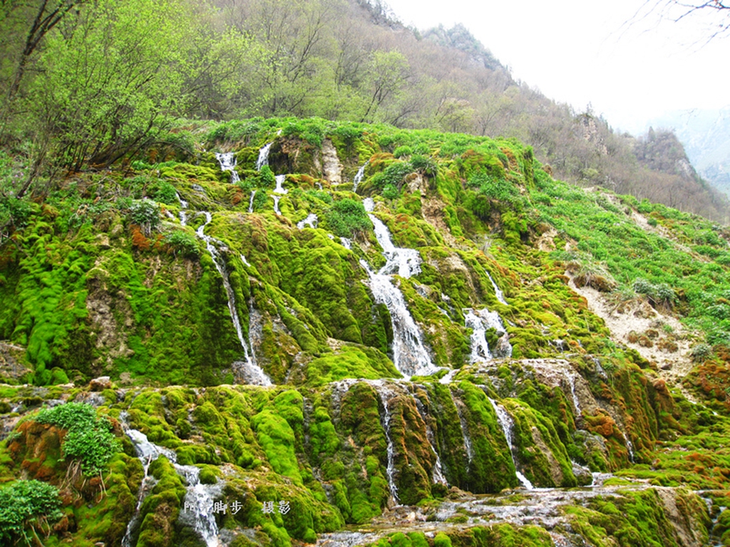 青海互助北山扎隆沟