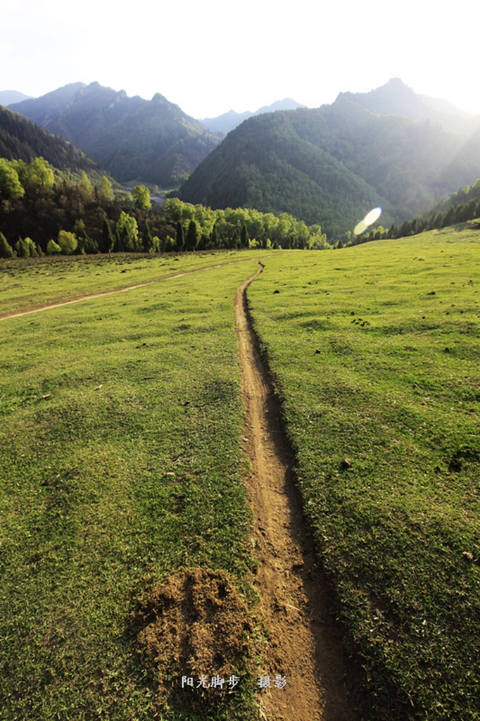 青海互助北山扎隆沟