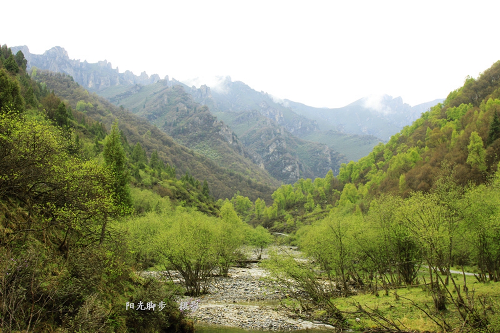 青海互助北山扎隆沟