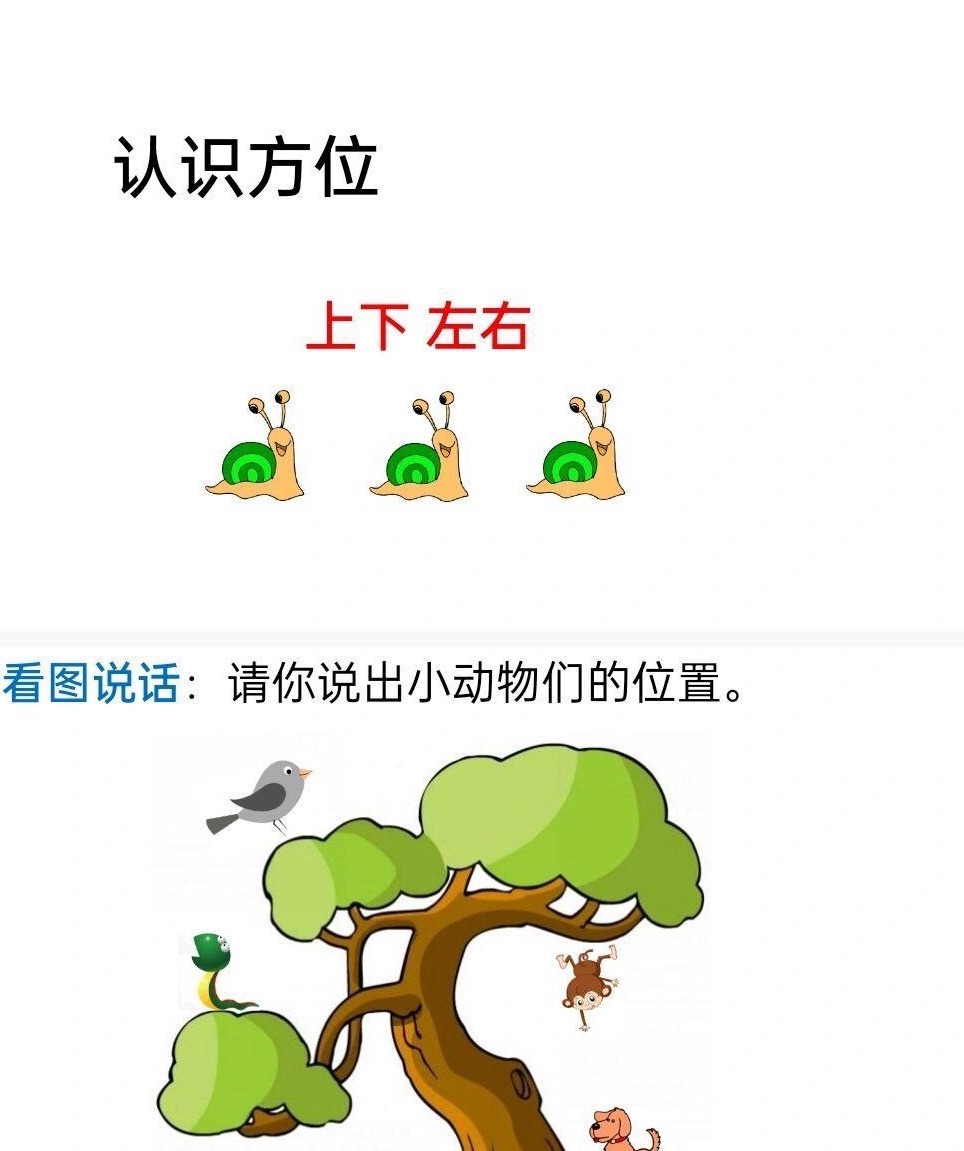 幼儿园开展方位认知公开课:家园共育共谋幼儿成长