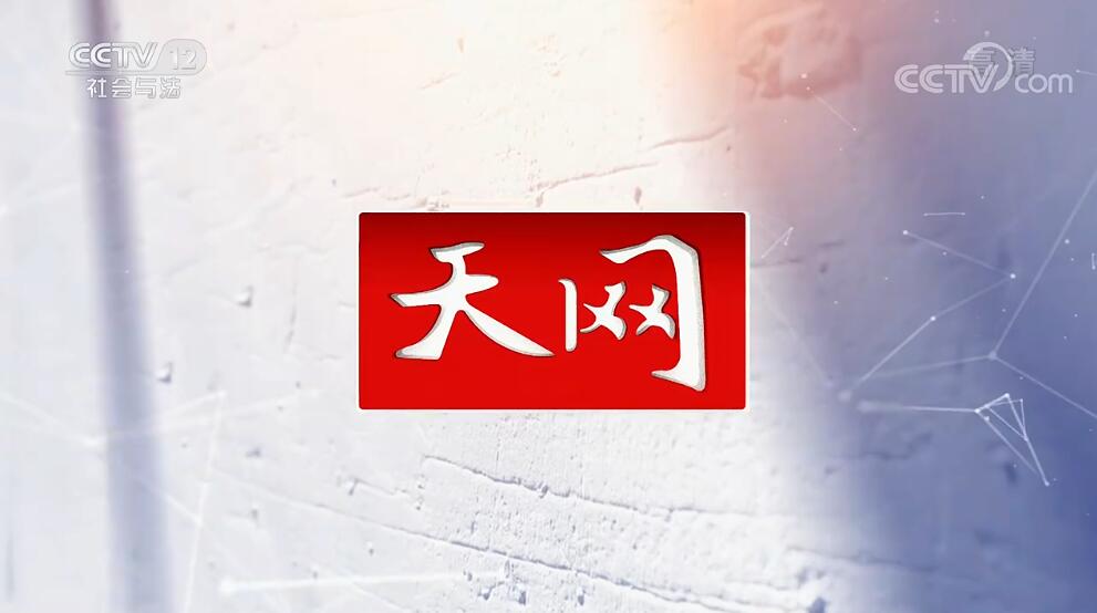 央视12套《天网》栏目介绍,央视广告投放价值