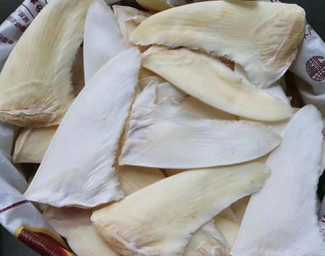 印度尼西亚鲨鱼翅进口报关必须要准备的资料单证都在这!