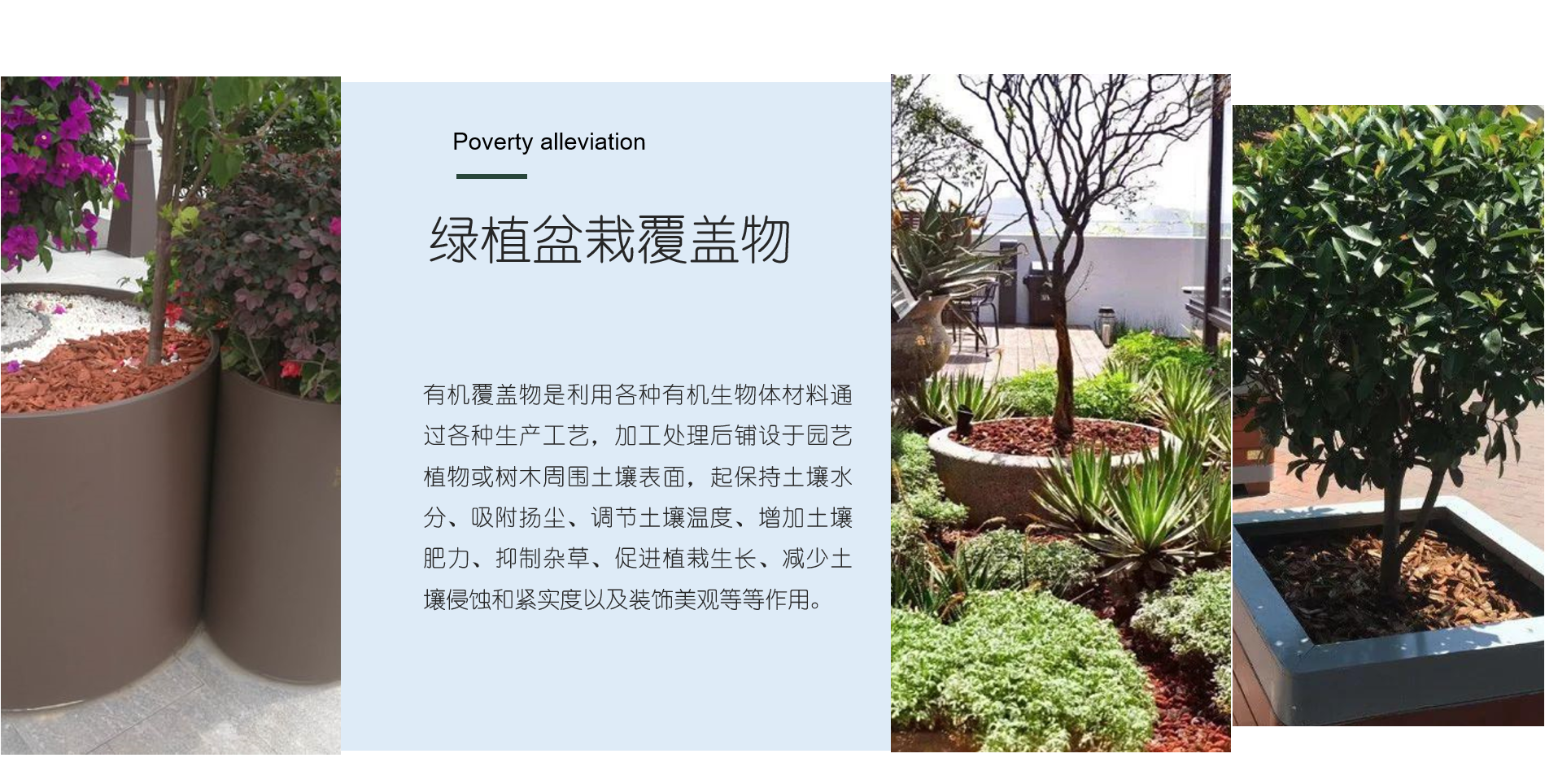 新地被覆盖材料:彩色有机覆盖物,给城市增添色彩