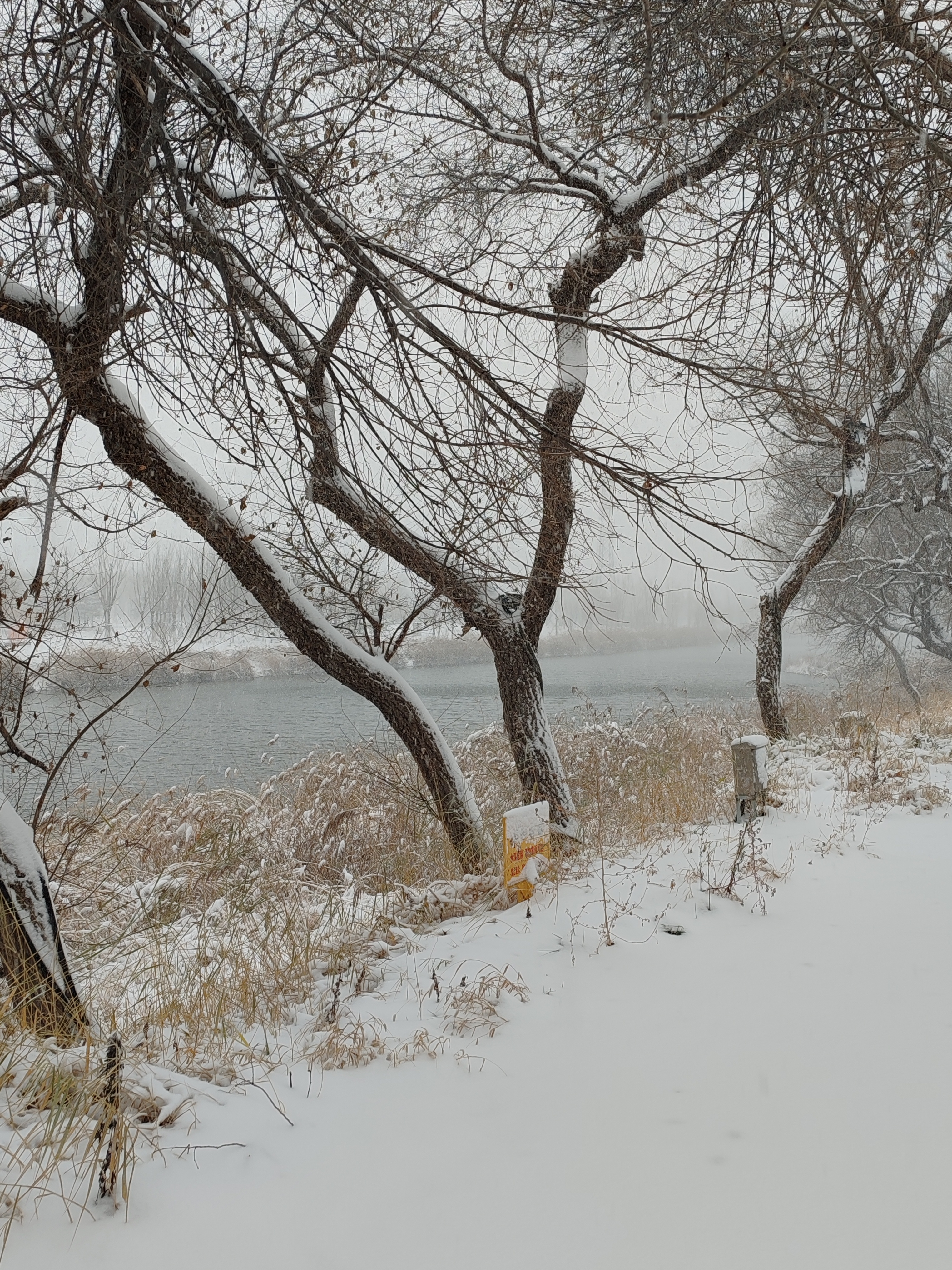 大运河森林公园雪景图片