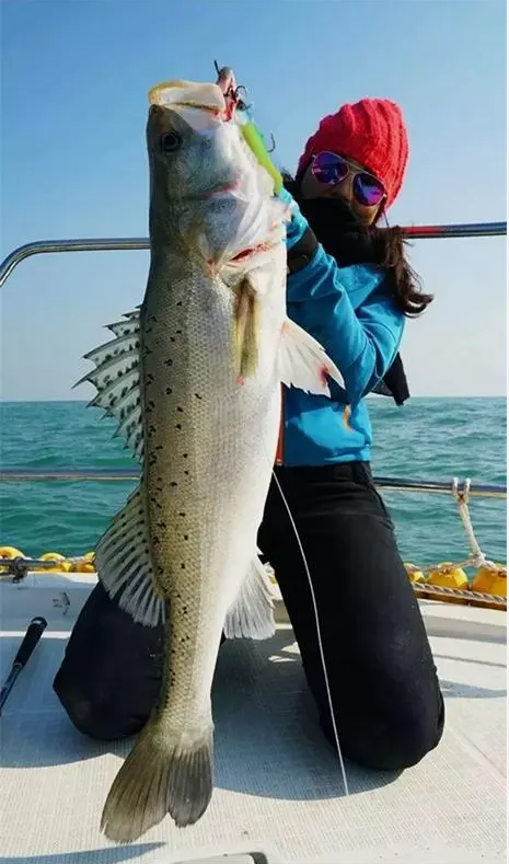 要想在海钓中获得更多的鲈鱼,除了掌握基本的钓鱼技巧外,还需要了解