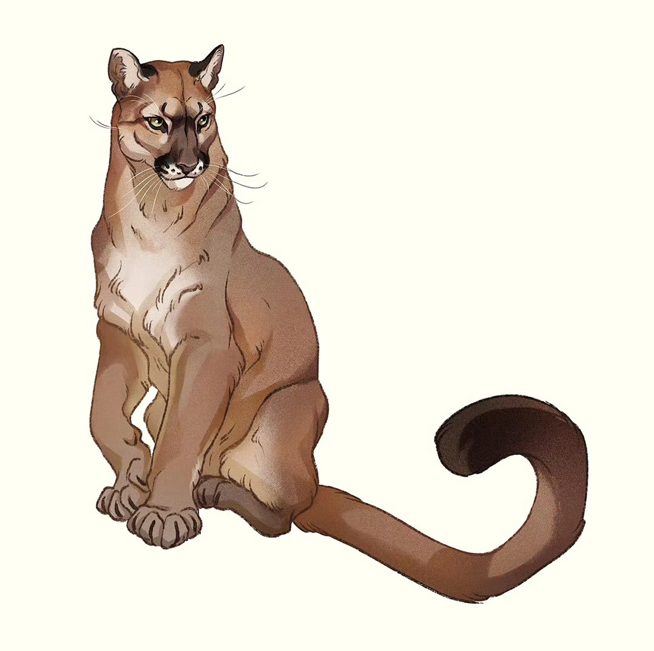 一组猫科动物绘画作品欣赏,描绘了不同种类的大猫,展现了它们可爱的