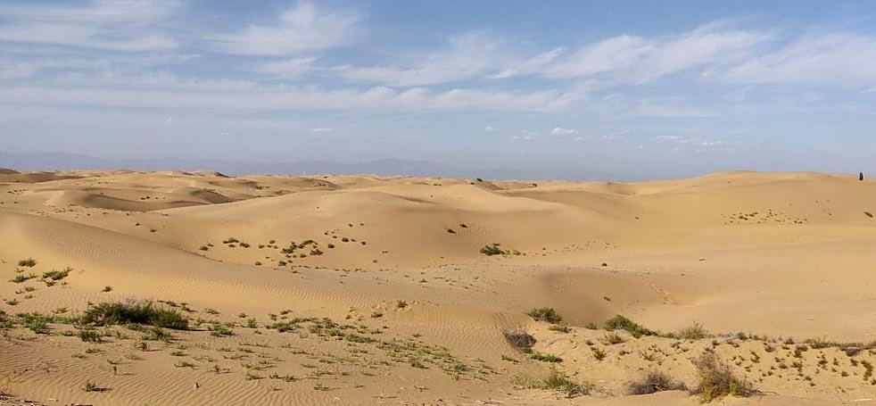 回顾:将黄河水引入沙漠后,内蒙出现罕见反应!这个工程有多牛?