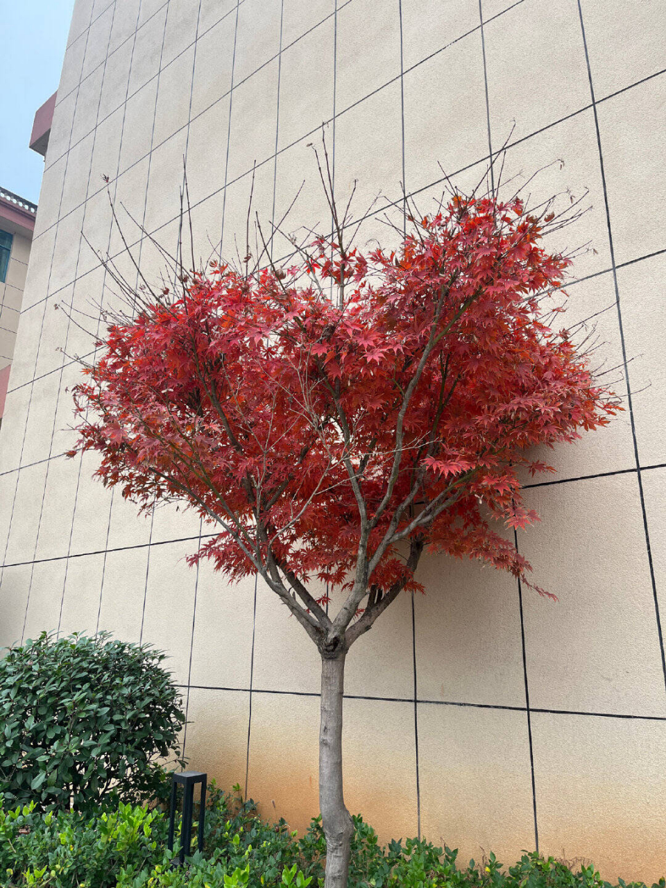 这三个星座的特点是很容易对他人产生感情,而且非常容易变心