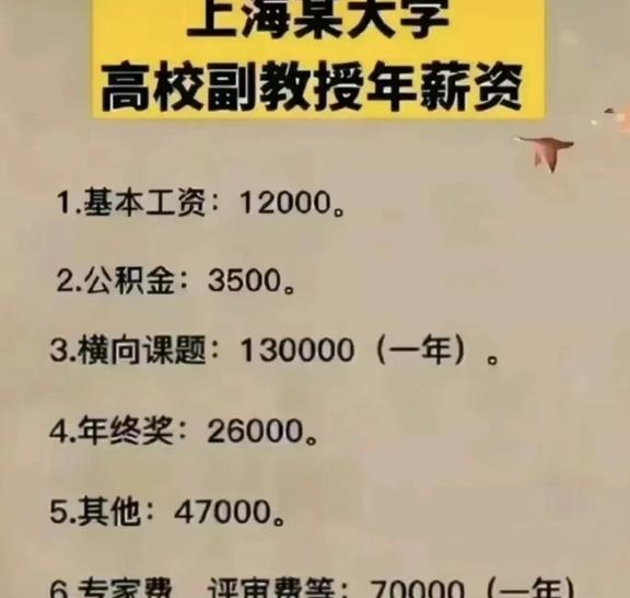 上海某大学副教授薪资待遇外泄,网友:一年这么少?