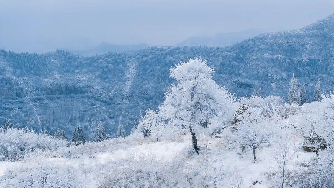 一眼心動的10處霧凇奇觀玉樹冰花你看過幾個