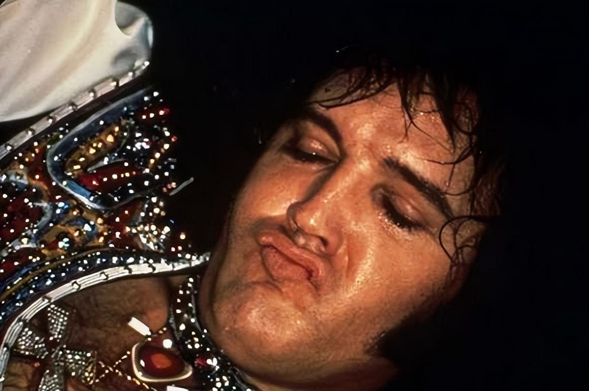 猫王为啥那么有影响力为什么在线