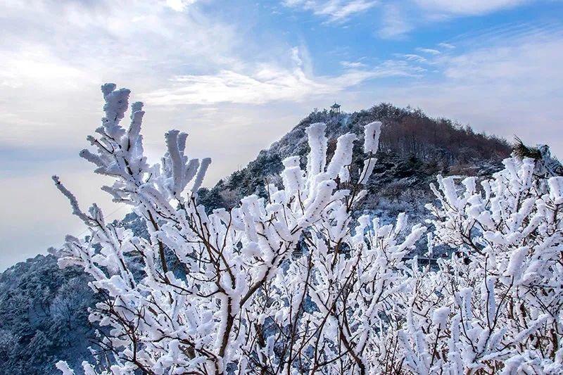 一眼心動的10處霧凇奇觀玉樹冰花你看過幾個