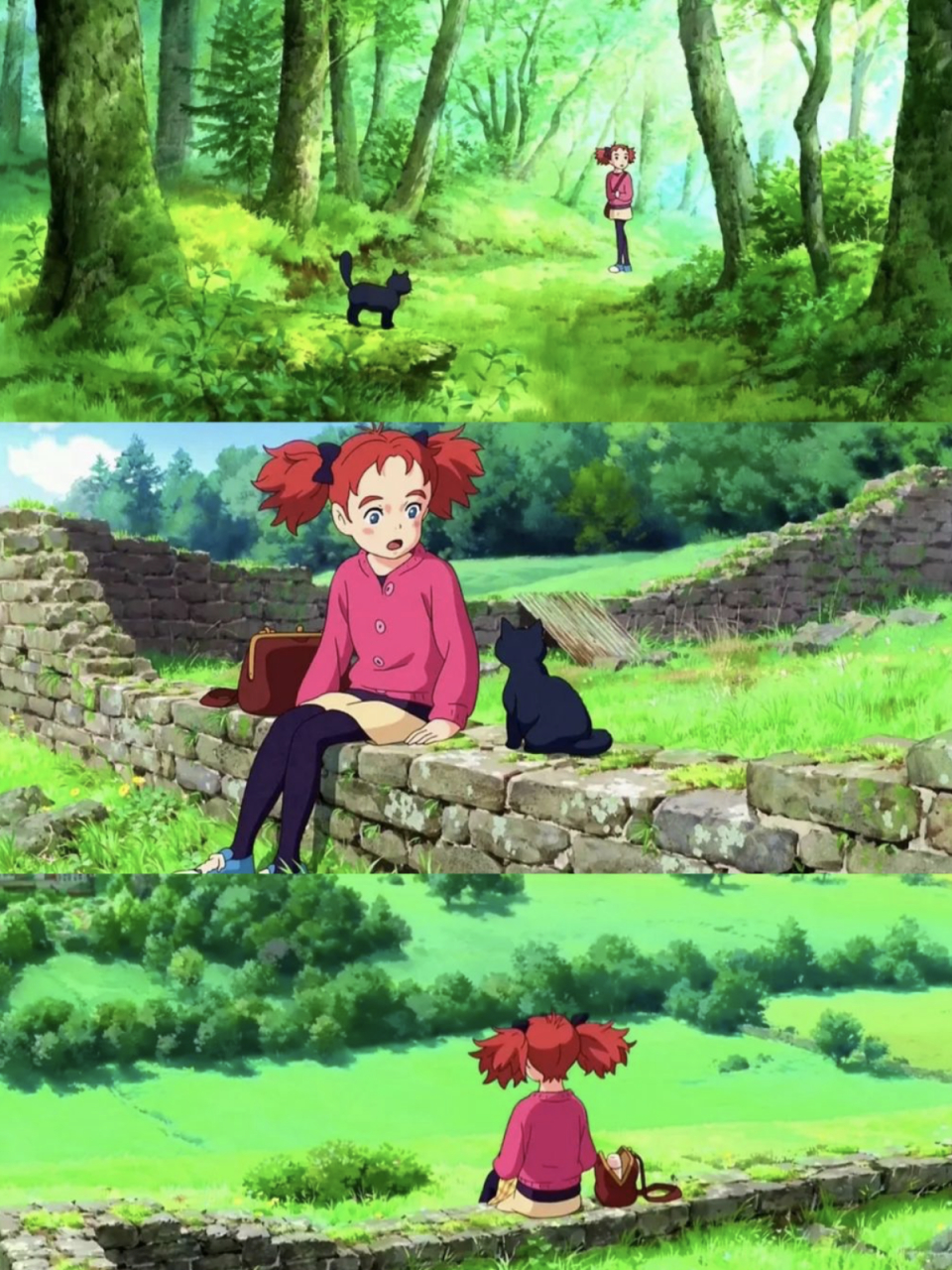 《玛丽与魔女之花》就是这样一部作品,它以精美的画风和音乐,带我领略