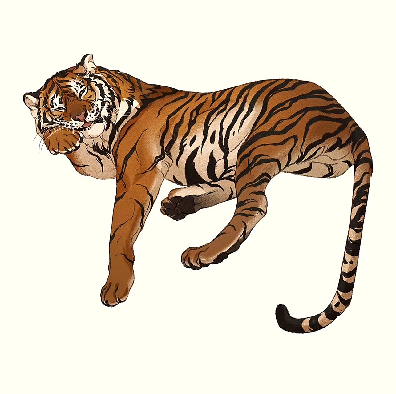 一组猫科动物绘画作品欣赏,描绘了不同种类的大猫,展现了它们可爱的