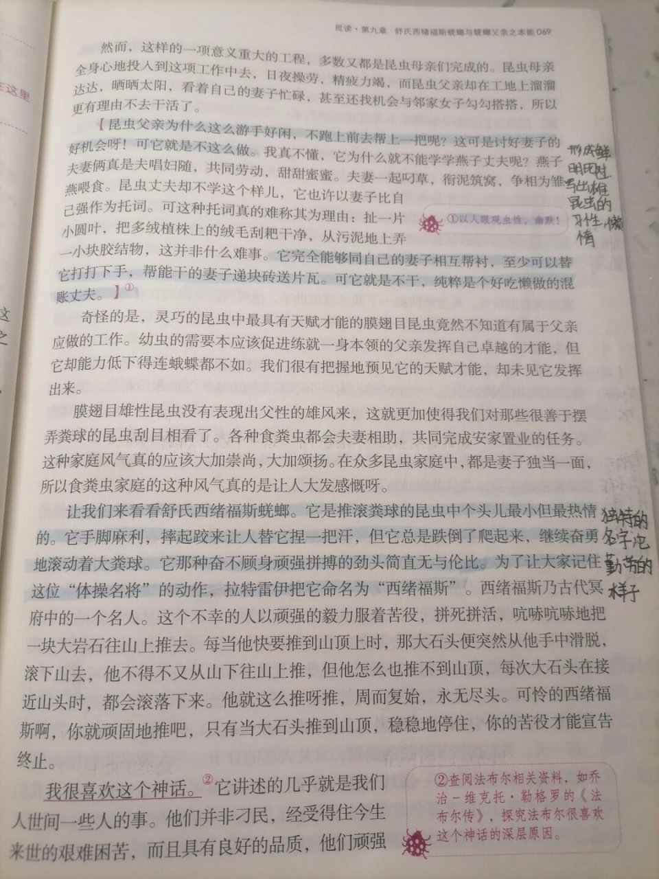 《昆虫记》第九章  《昆虫记》第九章:西班牙蜣螂与舒氏西绪福斯蜣螂