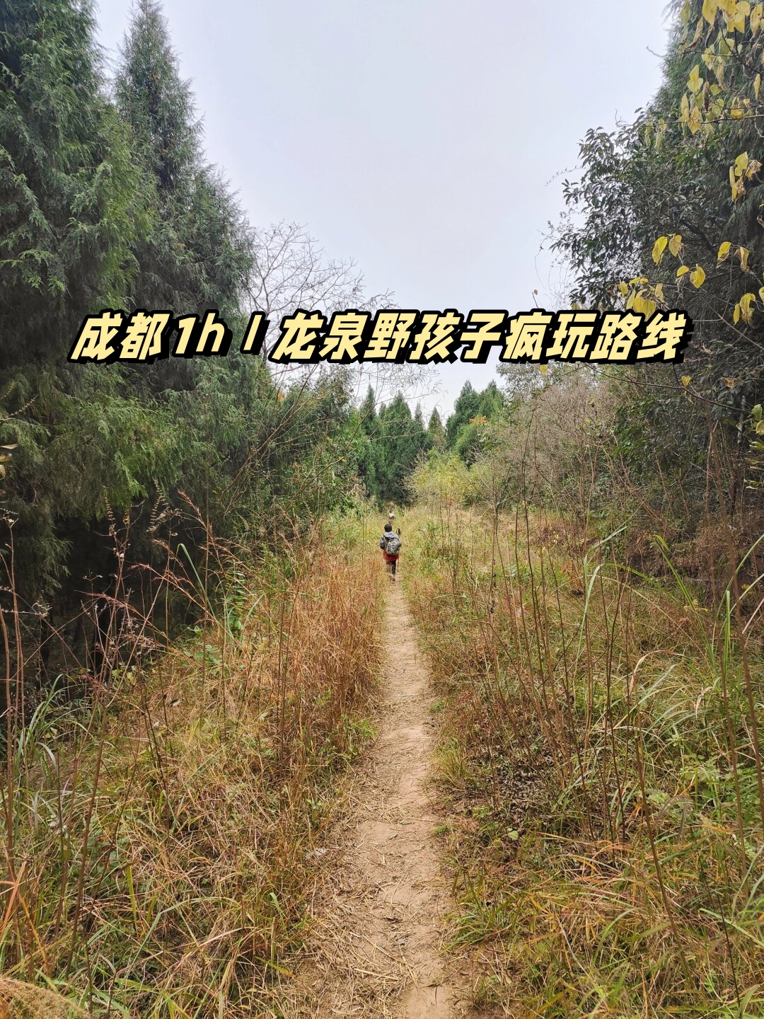 成都1hi龙泉野孩子疯玩路线