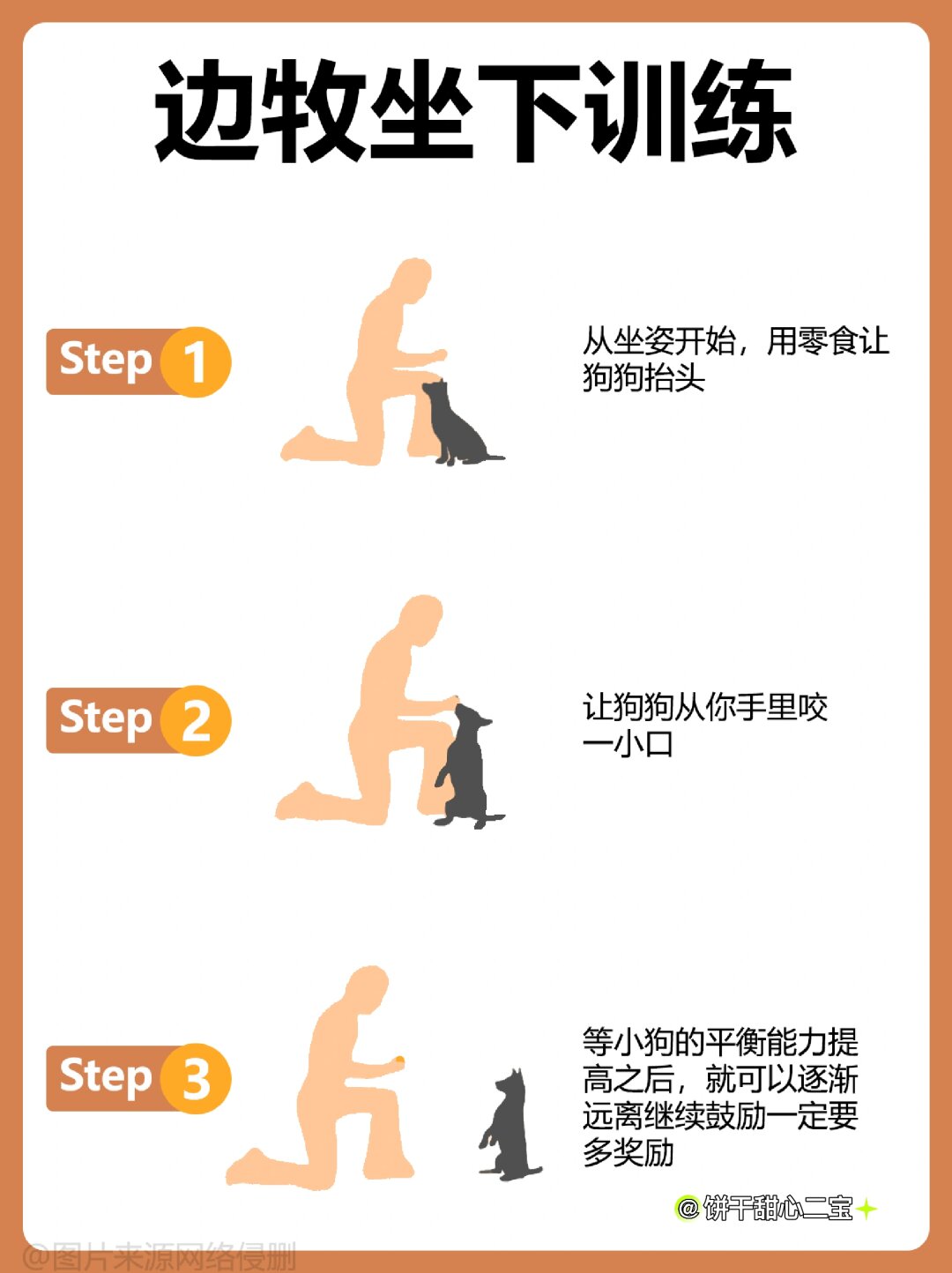 专栏丨边牧不听话,教你几招正确训犬方法  随着社会的进步,越来越多的