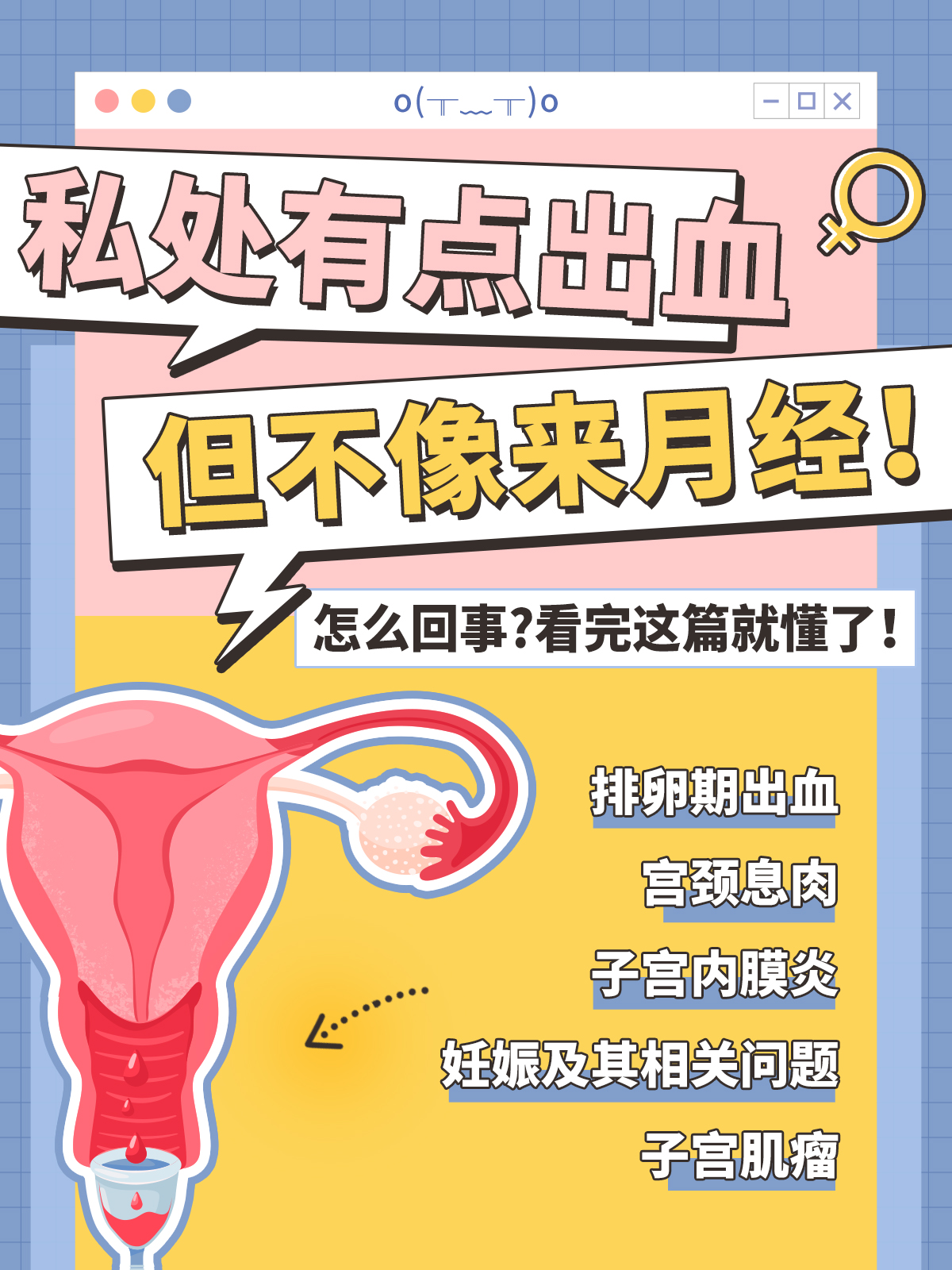 女生来月经从哪里流血图片