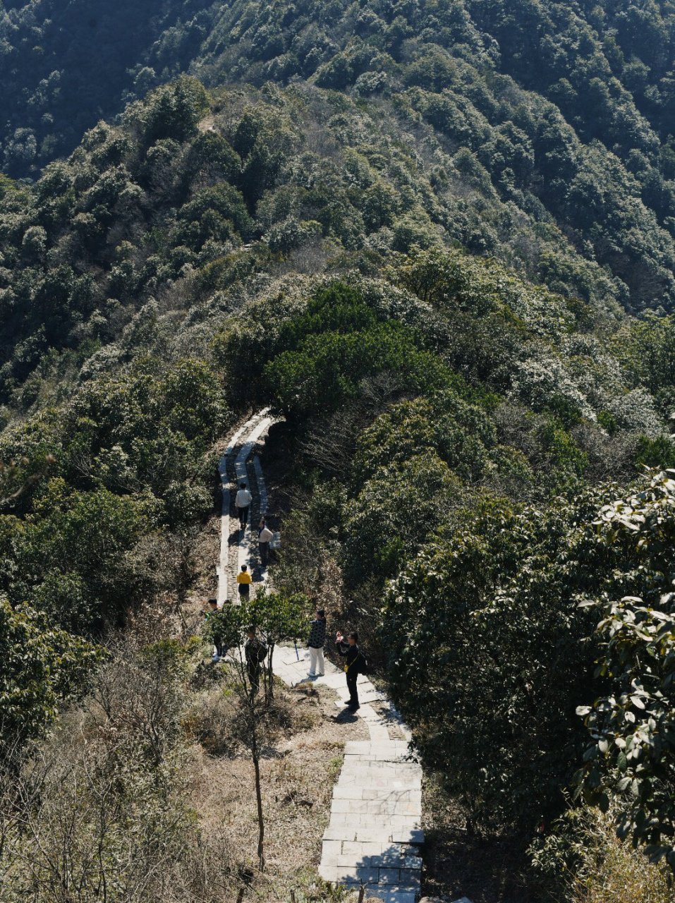 每周一山春日徒步,杭州富阳豆腐皮古道  在美丽的西山森林公园内,有一
