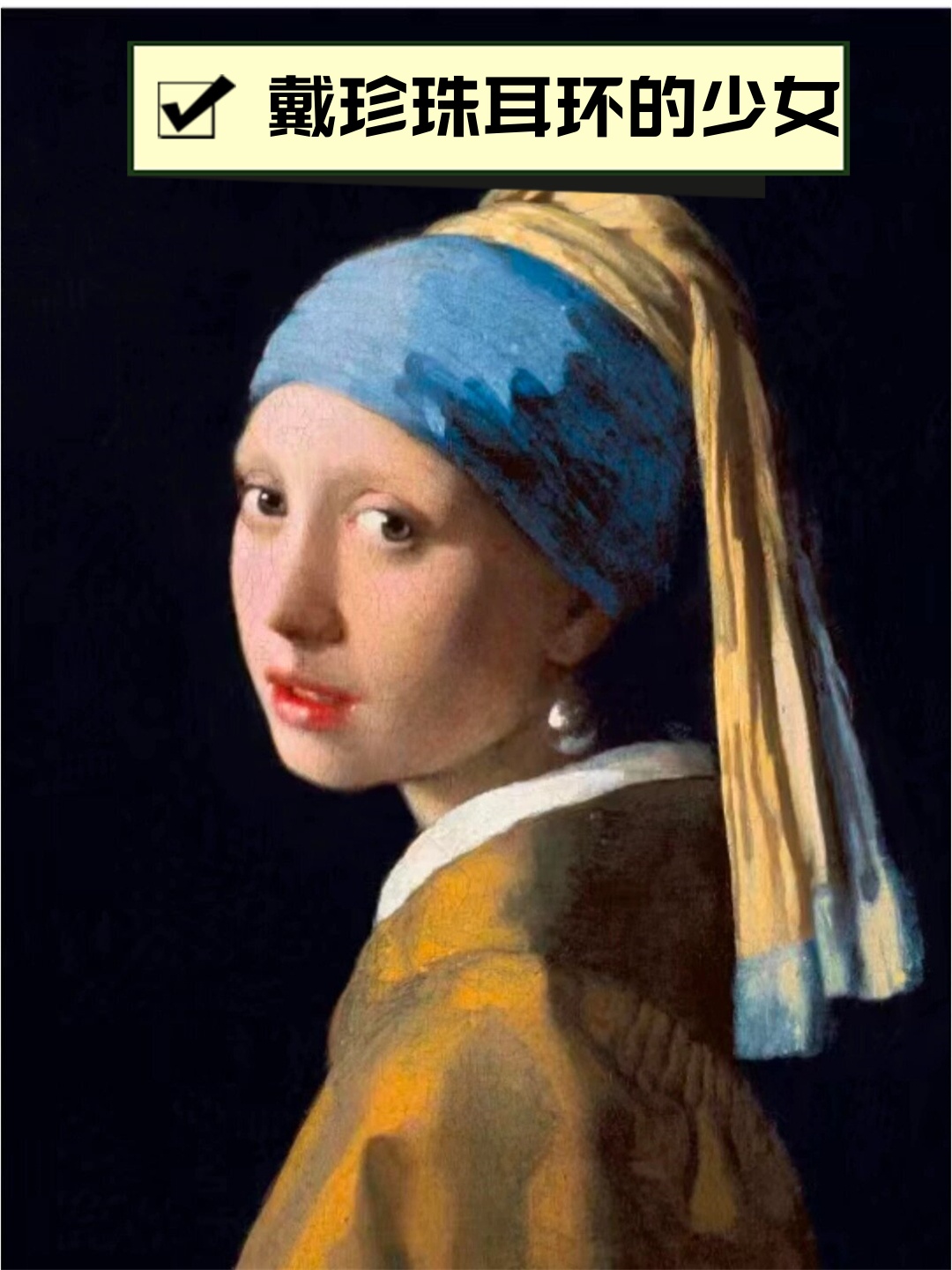 戴珍珠耳环的少女  《戴珍珠耳环的少女》  一幅1665年的油画杰作,由