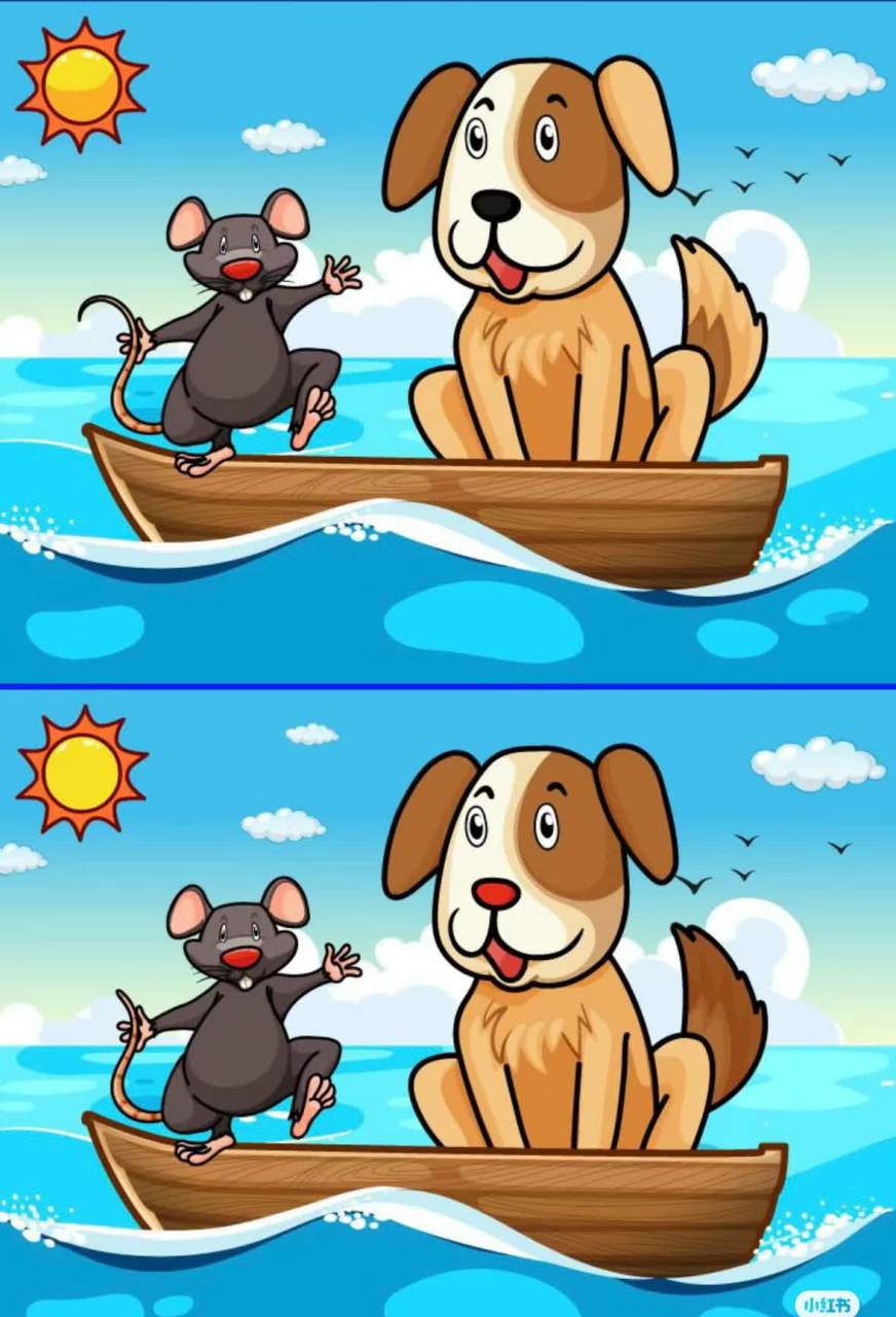 视力瞬间:大家来找茬(动物系列),把答案放在评论区#eye moment