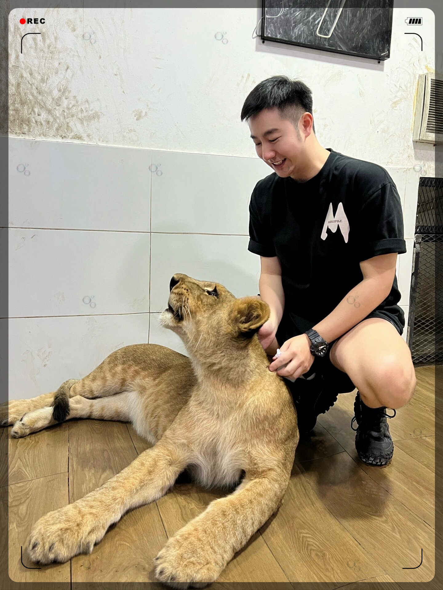 勇敢的人,先享受世界
