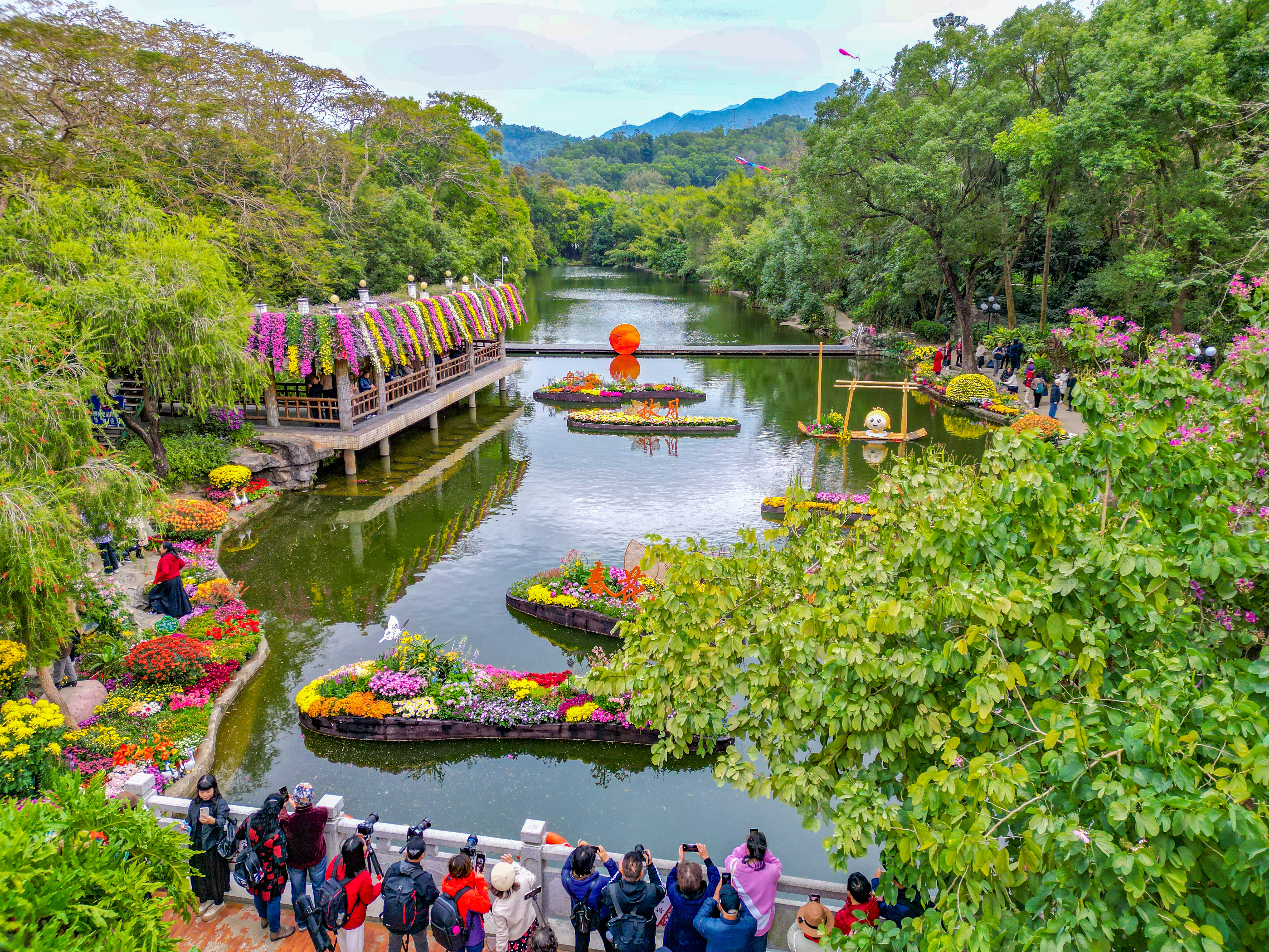 东湖公园深圳菊花展图片