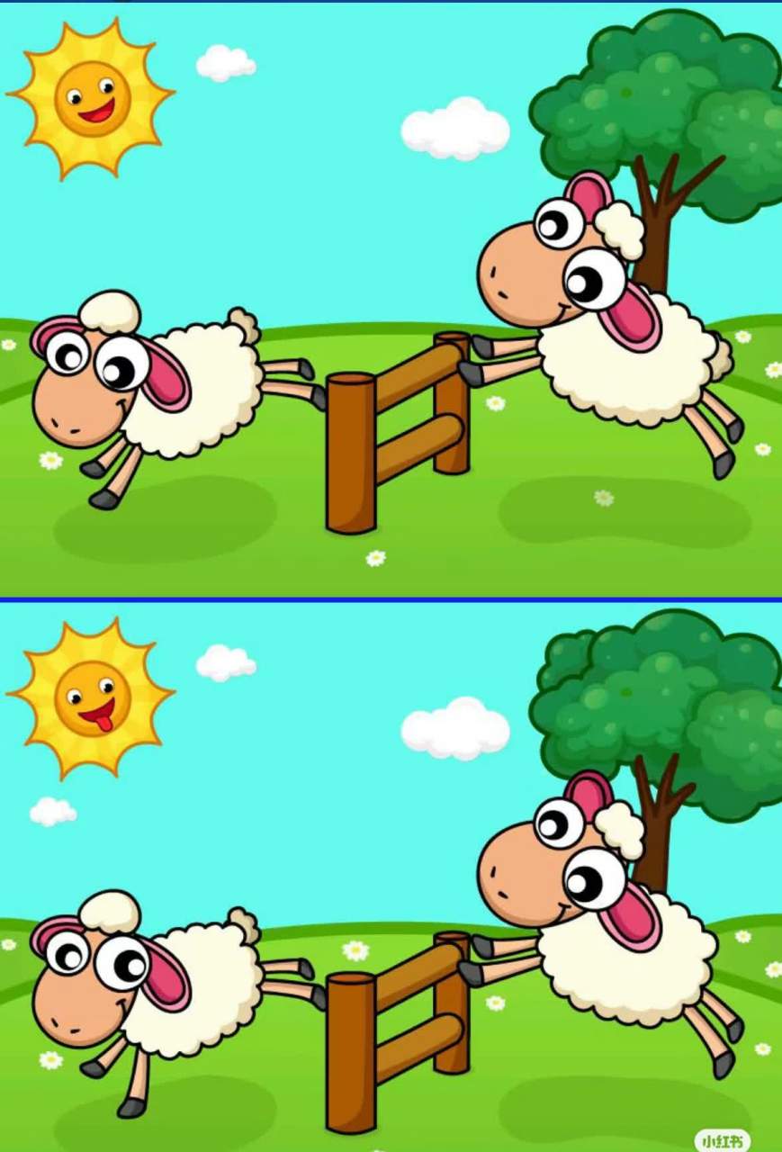 视力瞬间:大家来找茬(动物系列),把答案放在评论区#eye moment