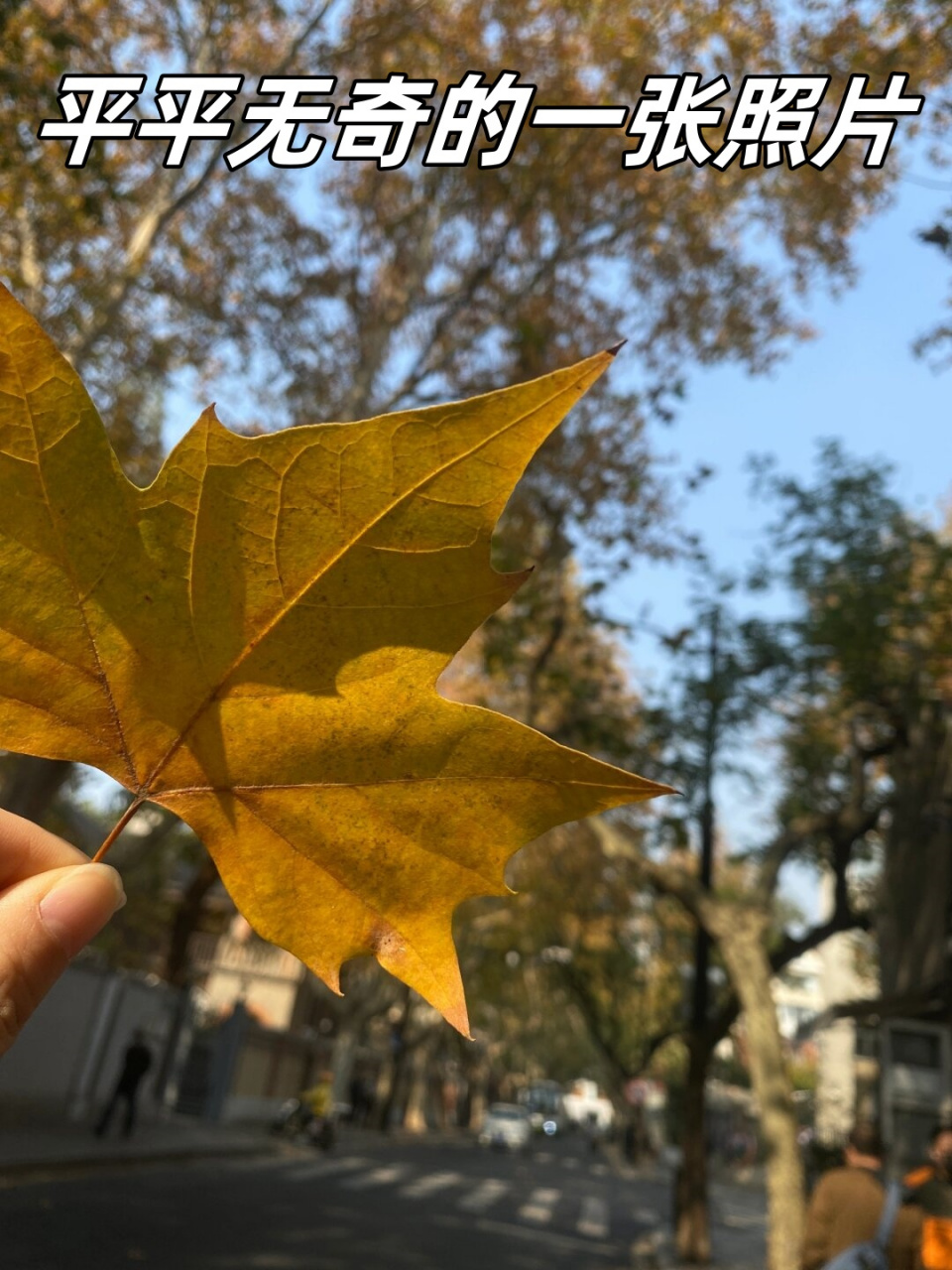 平平无奇的一张照片