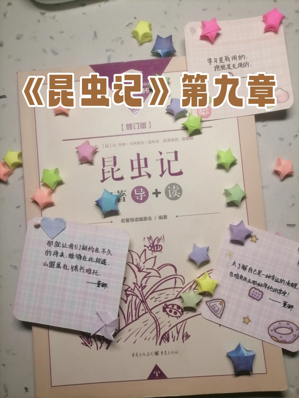 《昆虫记》第九章  《昆虫记》第九章:西班牙蜣螂与舒氏西绪福斯蜣螂