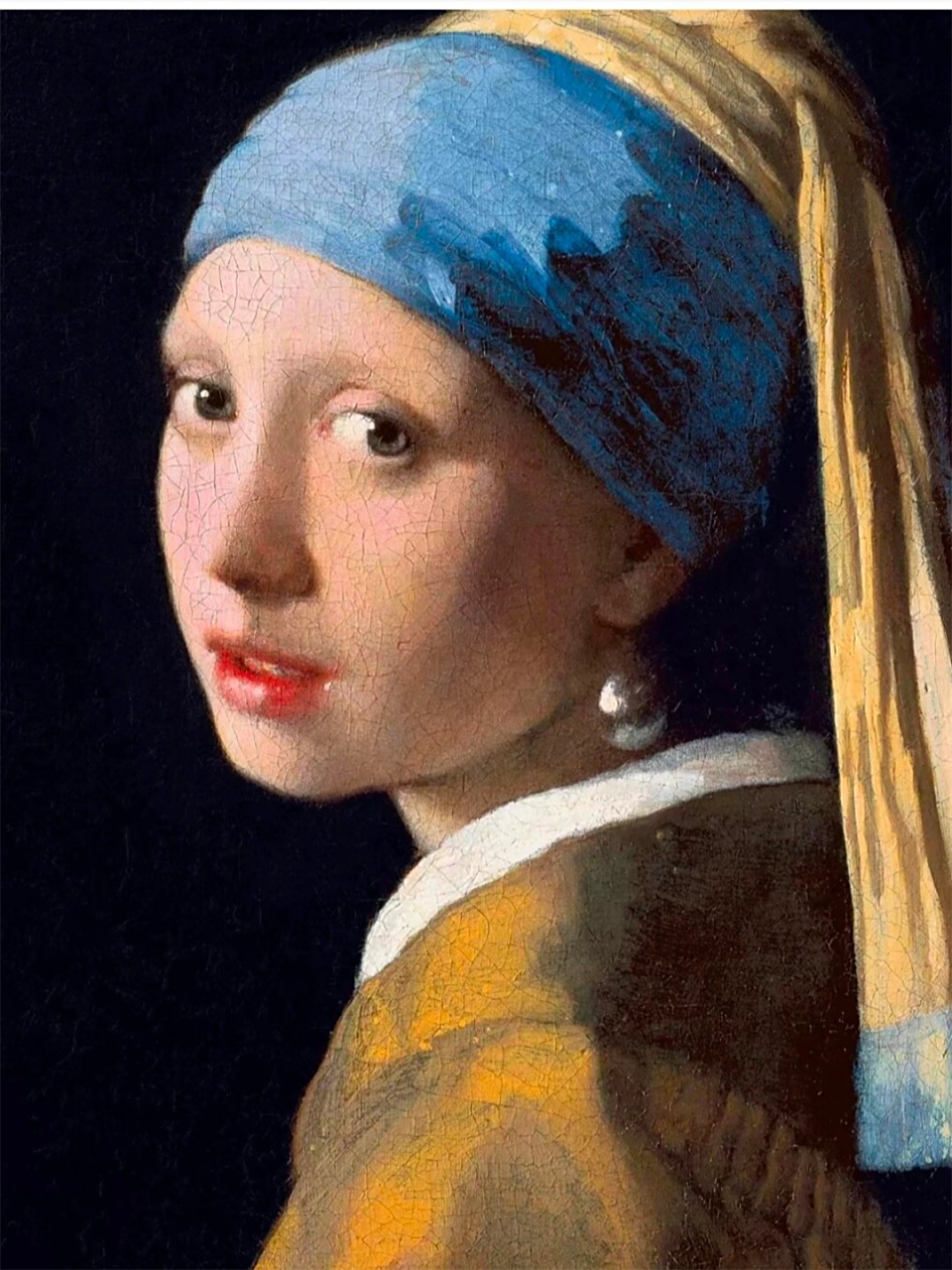 戴珍珠耳环的少女  《戴珍珠耳环的少女》  一幅1665年的油画杰作,由