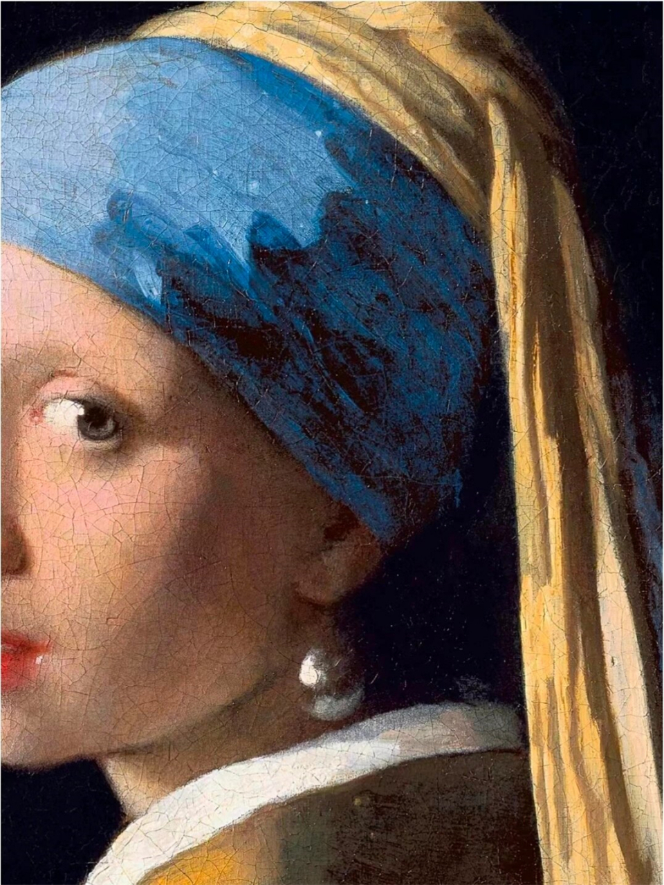 戴珍珠耳环的少女  《戴珍珠耳环的少女》  一幅1665年的油画杰作,由