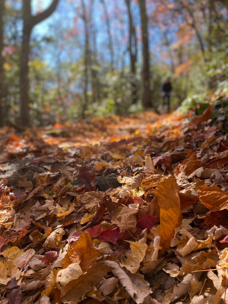 重装徒步大烟山国家公园  大烟山国家公园,也称为大烟雾山国家公园