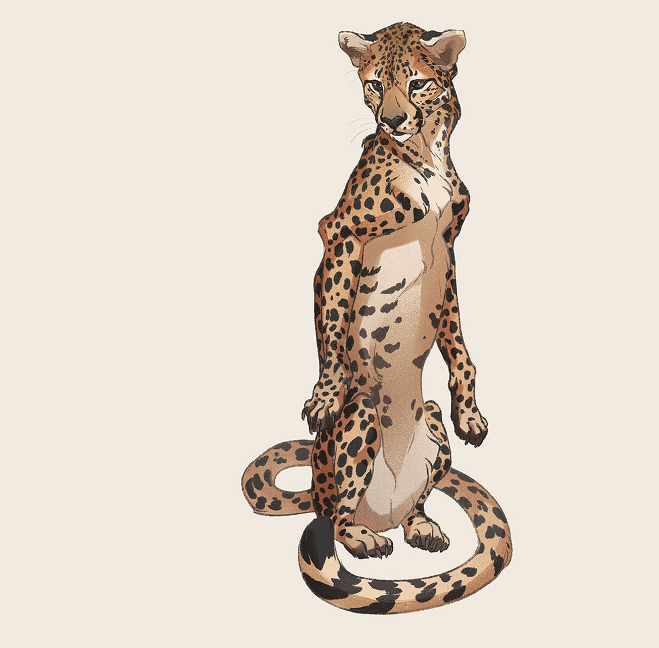 一组猫科动物绘画作品欣赏,描绘了不同种类的大猫,展现了它们可爱的