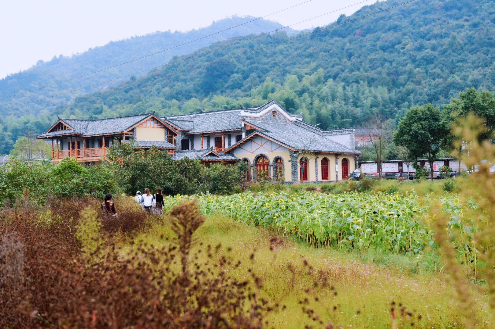 年轻人回乡,重庆下庄村焕发新生