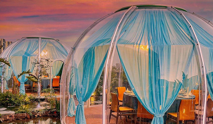 透明星空房:户外餐饮的革新之举,让你边用餐边欣赏美景