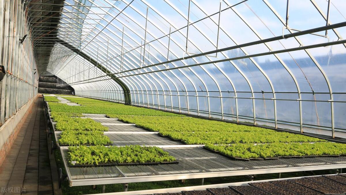 装配式日光温室大棚骨架