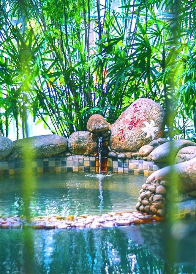 湖北温泉盛宴,咸宁焕发独特光彩,温泉文化魅力无限