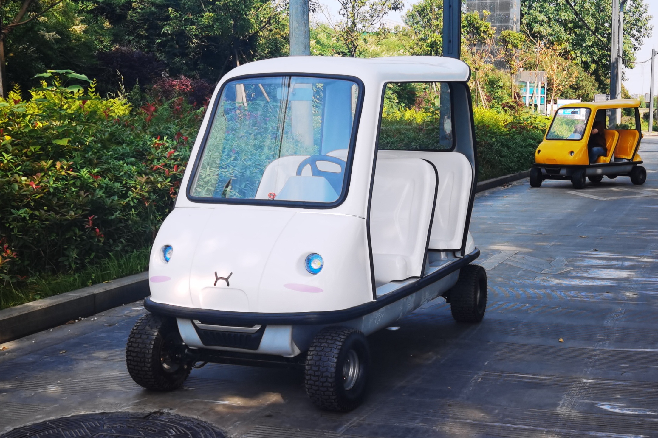 景区电动代步车共享车/租赁运营车/车型展示