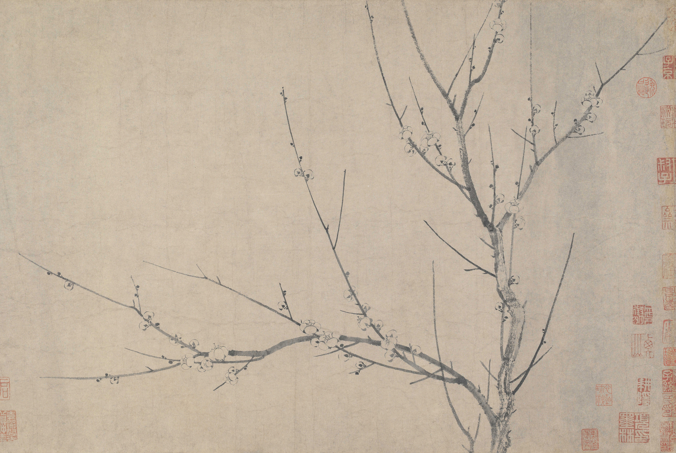 中国花鸟画中的名花卉——梅花【二.@智文阅读的动态