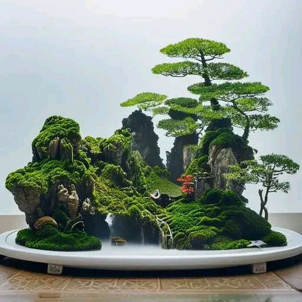 雅趣 | 山水盆景艺术