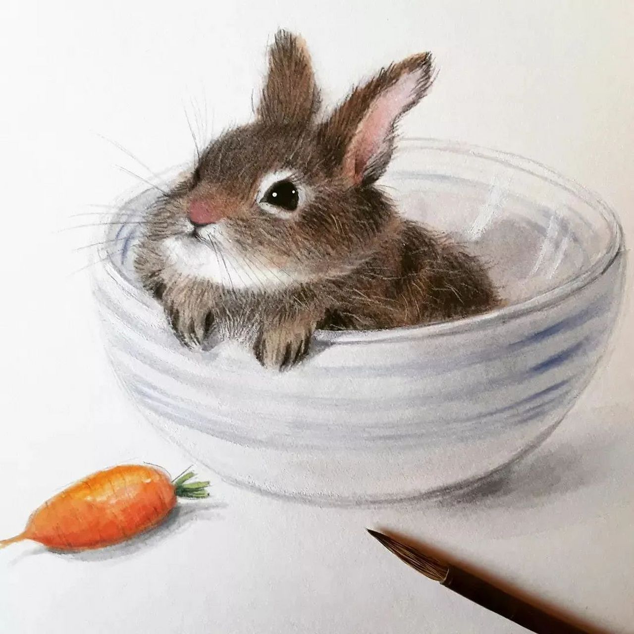 这些小动物画的也太逼真了,在寒冷的冬季让人看了非常的温暖和开心