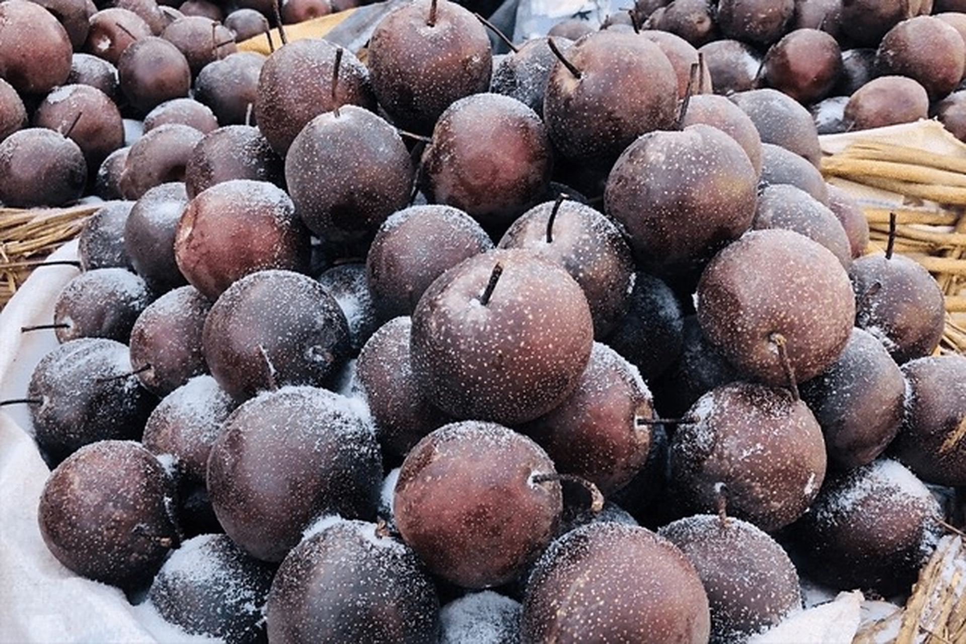 哈尔滨冻梨碰到南方游客变精致了