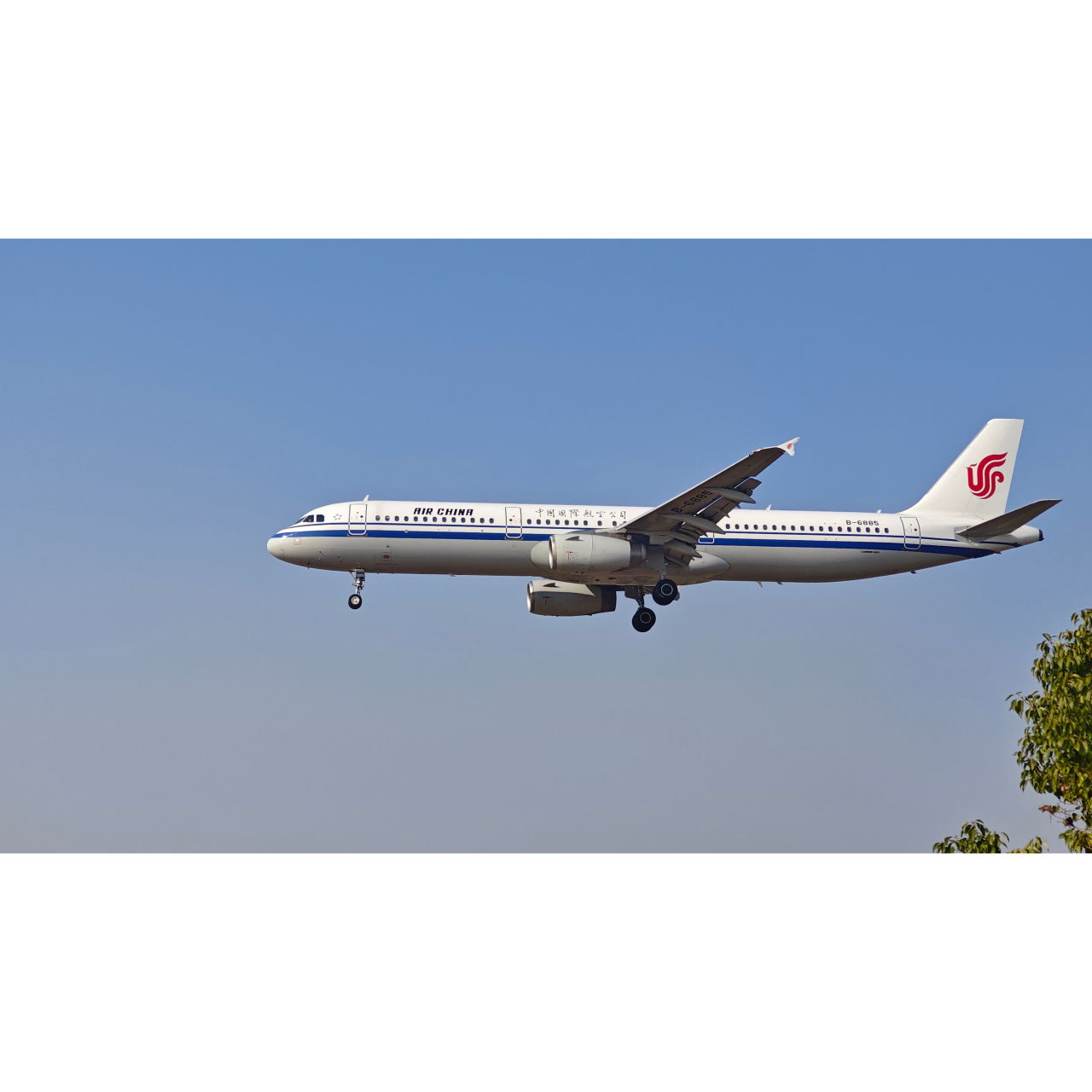 中国国际航空#  注册号:b6885 机型:空客a321-232(#窄体机# ) 机龄