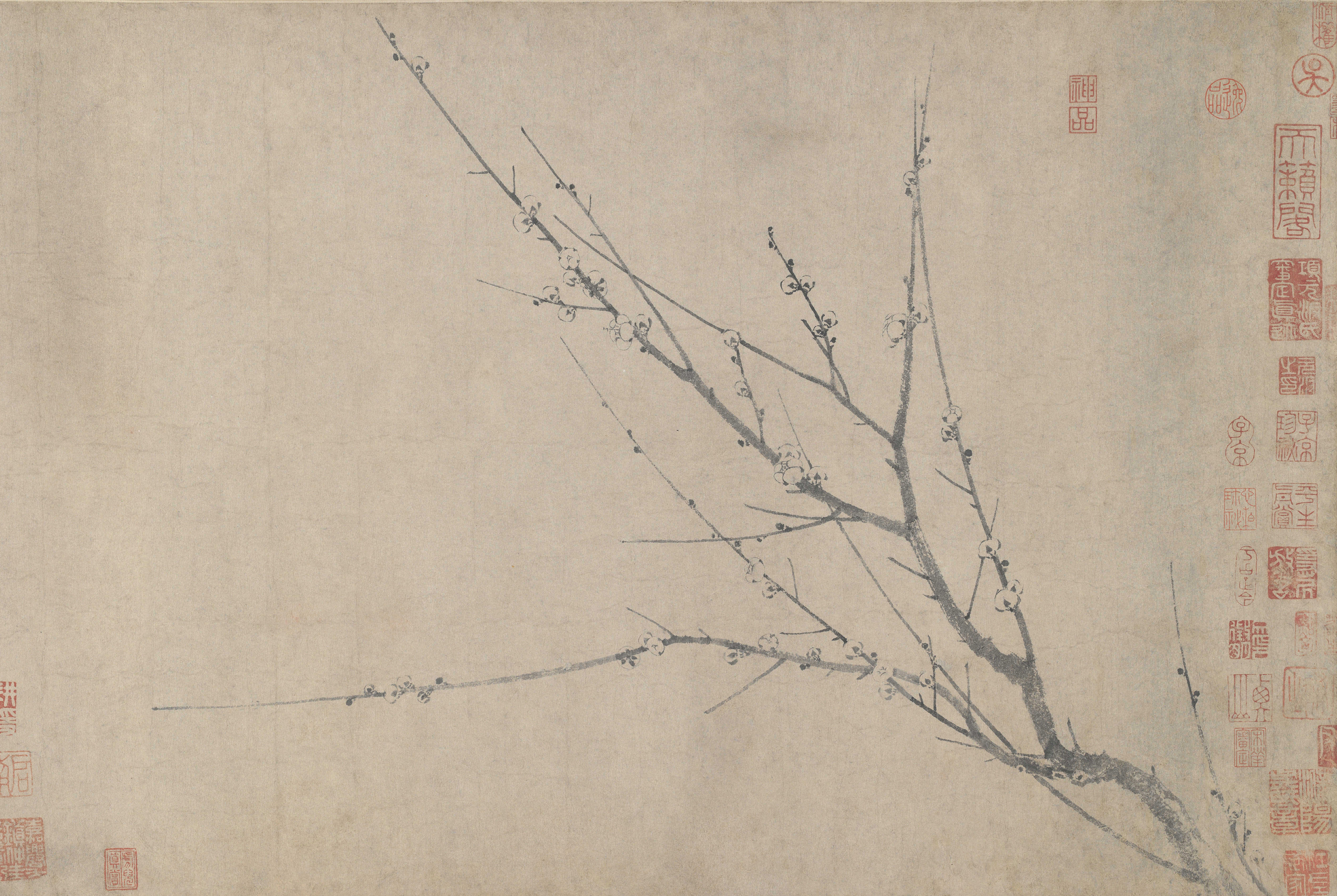 中国花鸟画中的名花卉——梅花【二.@智文阅读的动态