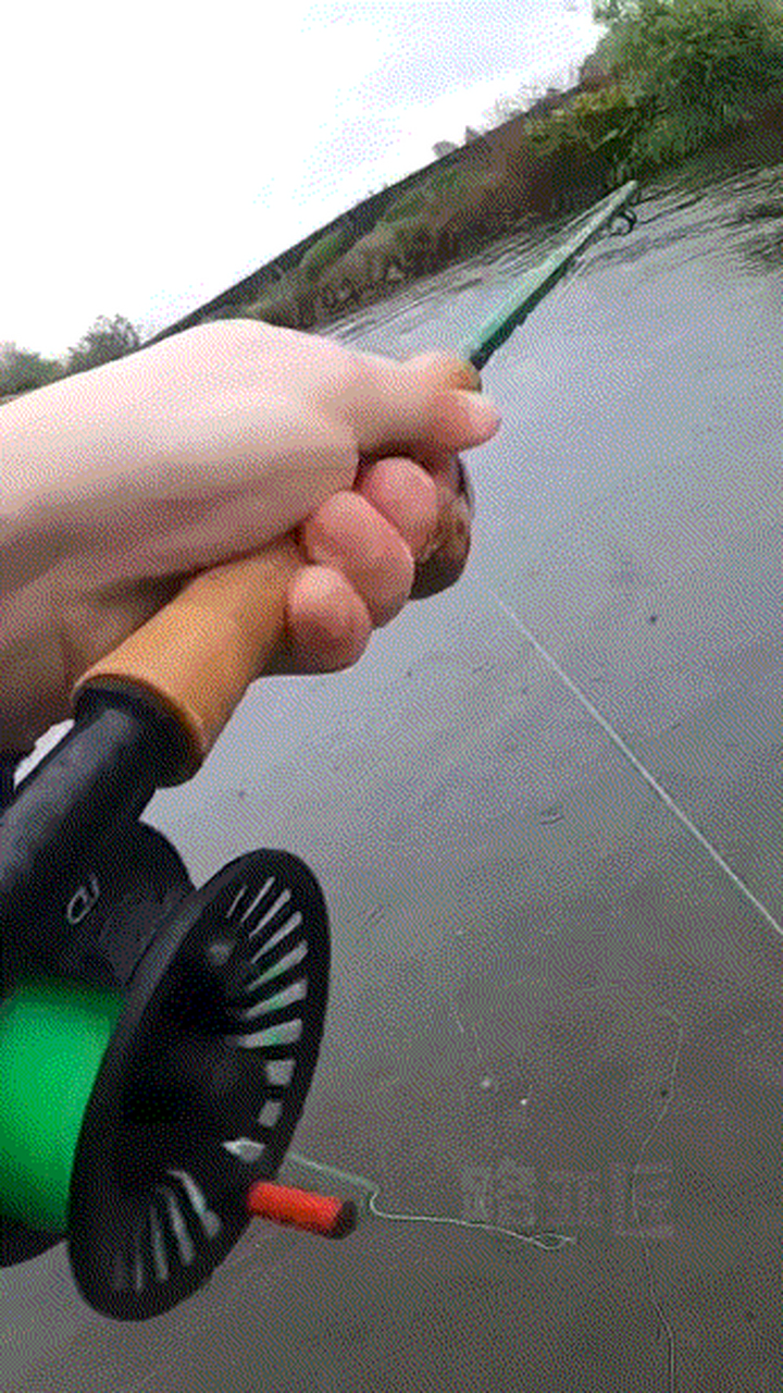 一张动图带你看看飞蝇钓中鱼第一视角#飞蝇钓# #路亚匠# #钓鱼