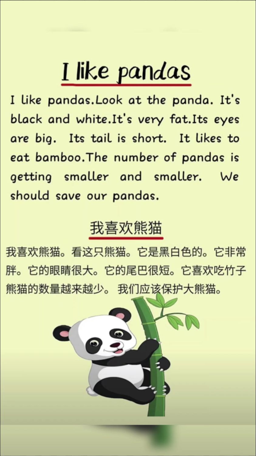pandas怎么读英语