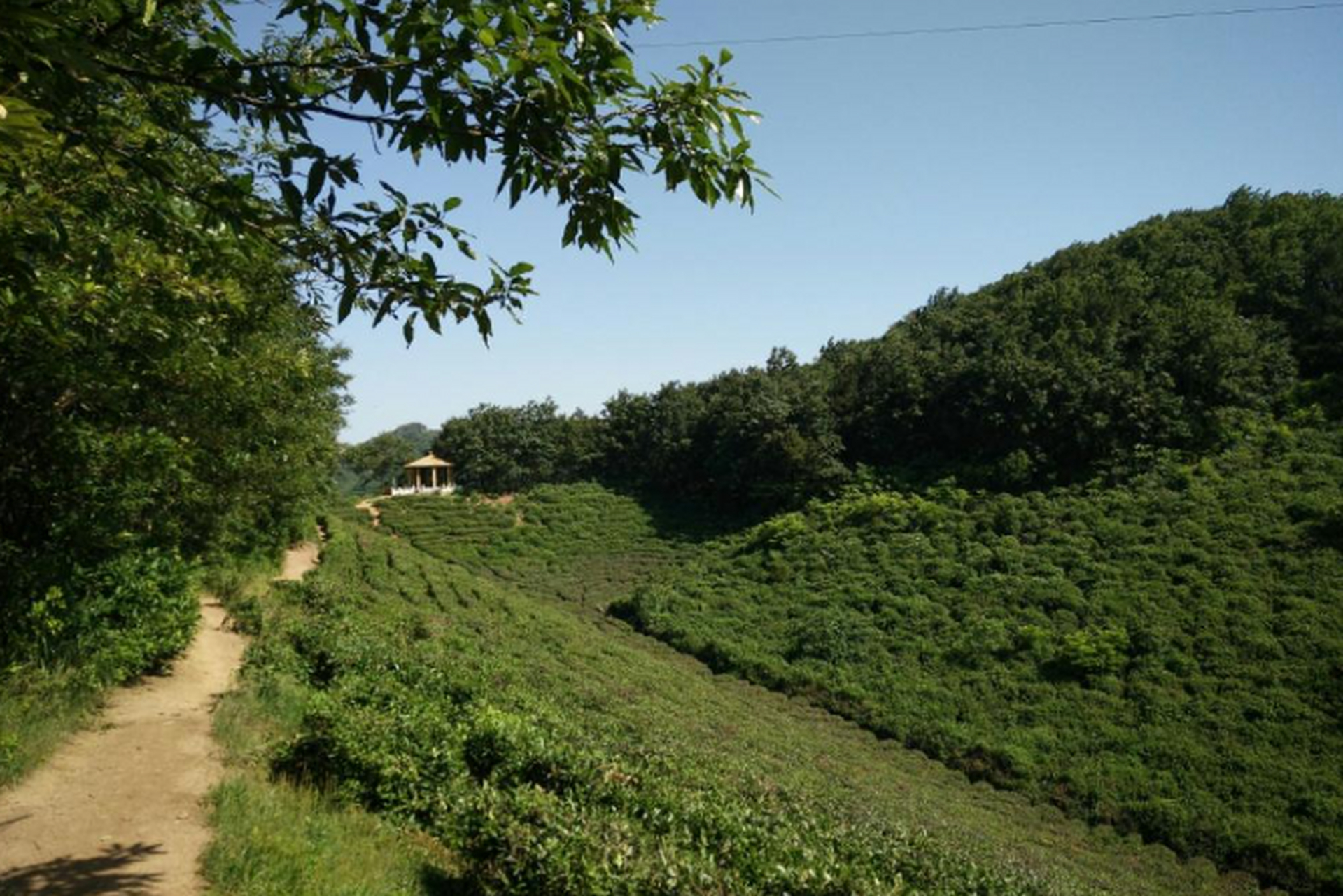 摘要: 震雷山是河南信阳市的旅游胜地,以清澈的湖水,茂密的丛林,连绵