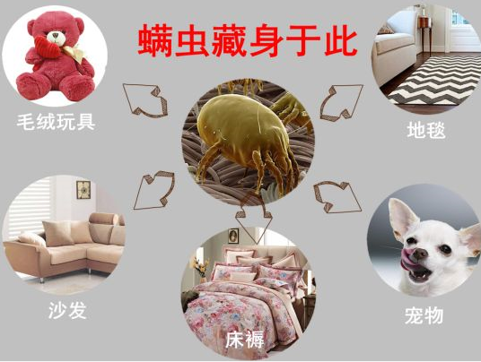 不管卧室多大,都别放这3样东西,不是迷信,是经验教训